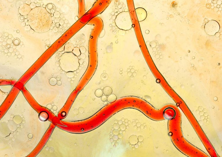 5 Vitamin E Myths That Prevent You from Achieving Healthy Skin Myra